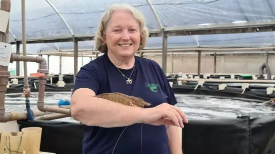 MULHERES DA AQUICULTURA – “Existem criaturas extremamente inteligentes, visionárias, determinadas, proativas, humanas, que fazem acontecer, independente se são homens ou mulheres”, diz a carcinicultora Ana Carolina